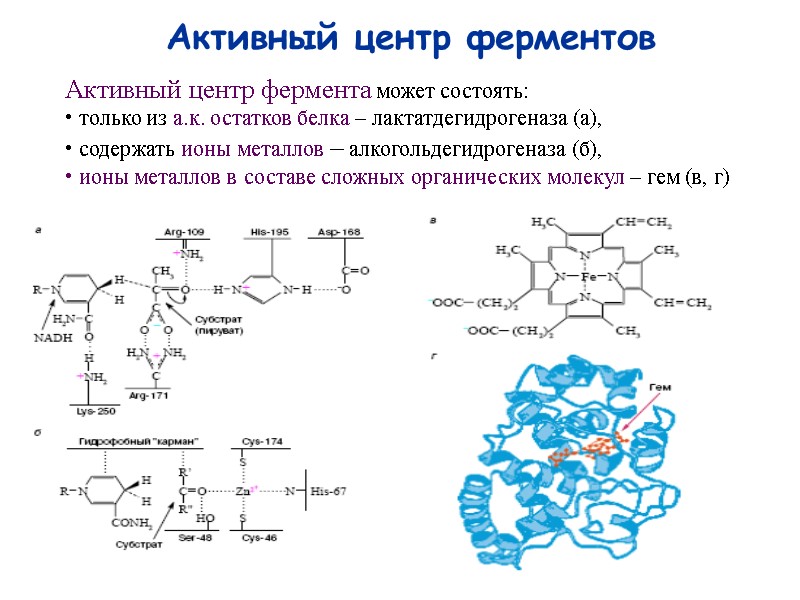 77 Активный центр ферментов Активный центр фермента может состоять:  только из а.к. остатков